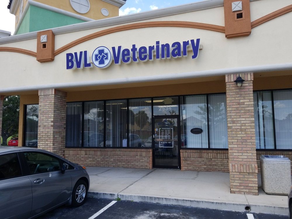 BVL VETERINARY HOSPITAL Updated September 2024 27 Photos & 10