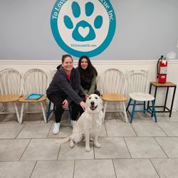 To Love a Canine Rescue