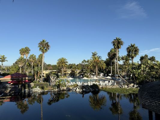 Paradise Point Resort & Spa by null