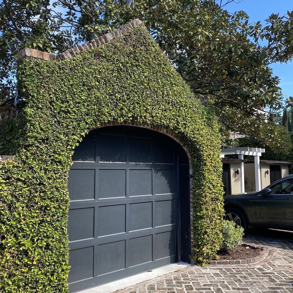 Lowcountry Walking Tours - Tour views - Walking Tours Near Me - Charleston, South Carolina Lowcountry Walking Tours - Tour views - Walking Tours Near Me - Charleston, South Carolina