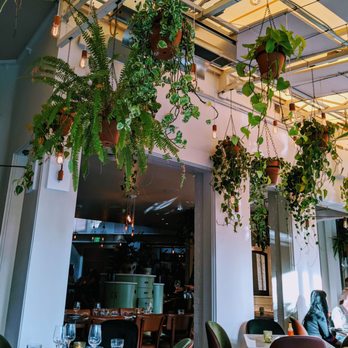 FIG Restaurant - aesthetics! Happy hour means slightly sunset time - Bars Near Me - Santa Monica, California FIG Restaurant - aesthetics! Happy hour means slightly sunset time - Bars Near Me - Santa Monica, California