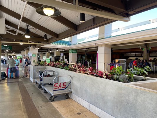 Lihue Airport by null