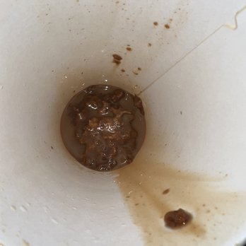 Chicory Cafe - Hot Chai 20 oz Chai Tea Latte - Coffee & Tea Near Me - South Bend, Indiana