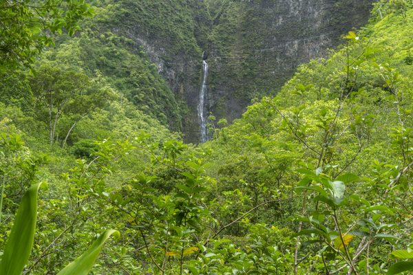Ha'ena State Park by null