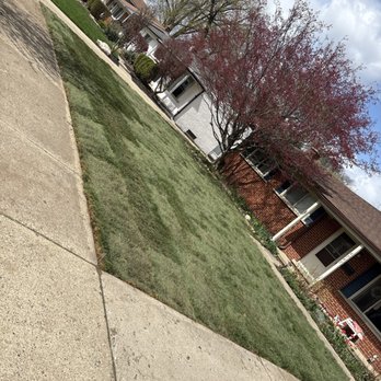 Enhanced Landscaping - Finished sod installation and regrade - Landscaping Near Me - Sterling Heights, Michigan Enhanced Landscaping - Finished sod installation and regrade - Landscaping Near Me - Sterling Heights, Michigan