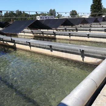 Coleman National Fish Hatchery - Salmon pools. - Landmarks & Historical Buildings Near Me - Anderson, California Coleman National Fish Hatchery - Salmon pools. - Landmarks & Historical Buildings Near Me - Anderson, California