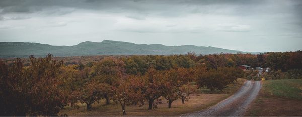 Wright's Farm by null