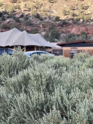 Open Sky Zion by null