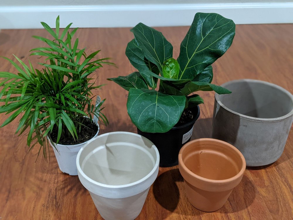 13TH STREET NURSERY 12 Photos & 14 Reviews 1298 13th St SE, Salem