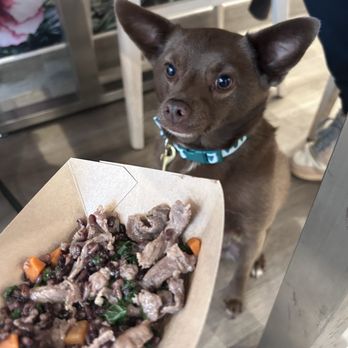Ever After Tearoom & Eatery - He is ready - Shaved Ice Near Me - Irvine, California