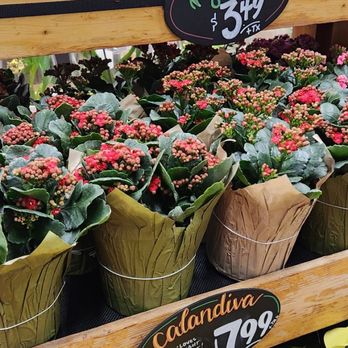 Trader Joe's - Seasonal flowers - Grocery Near Me - Clovis, California
