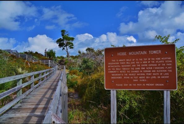 Jonathan Dickinson State Park by null