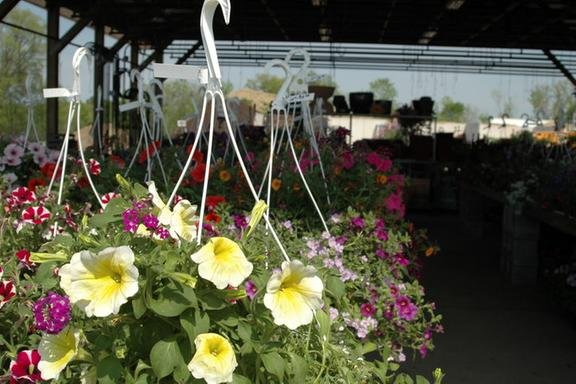 Altiere S Home Garden 8415 South Ave Youngstown Oh Nurseries Mapquest