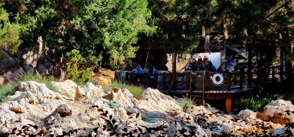 Grizzly River Run by null
