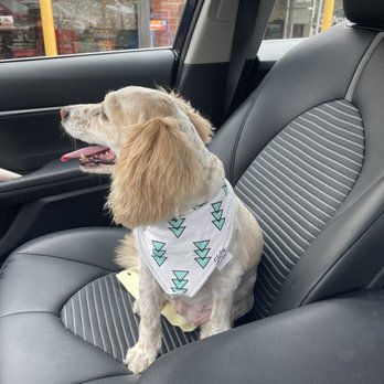 Pawfect Express Pet Spa - Pet Groomers Near Me - Montebello, California
