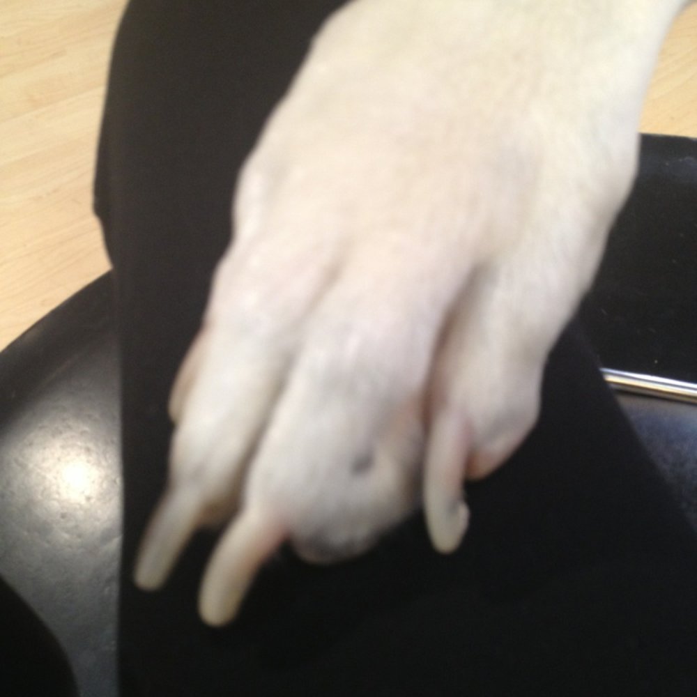 Magic Nails - Nail Salons Near Me - Costa Mesa, California