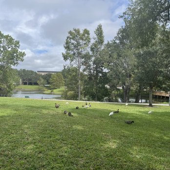 Community Playground - Kids Activities Near Me - Winter Park, Florida