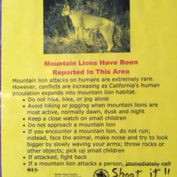 Mountain Dudes, Please don't hurt the Big Kitties Mountain Dudes, Please don't hurt the Big Kitties
