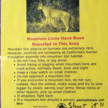 Redwood Estates Store - Mountain Dudes, Please don't hurt the Big Kitties - Grocery Near Me - Los Gatos, California Redwood Estates Store - Mountain Dudes, Please don't hurt the Big Kitties - Grocery Near Me - Los Gatos, California