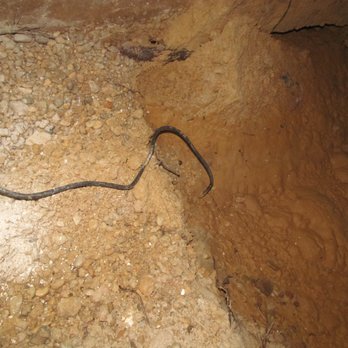 A&A Certified - A sink hole in the crawl space - Home Inspectors Near Me - Bowie, Maryland