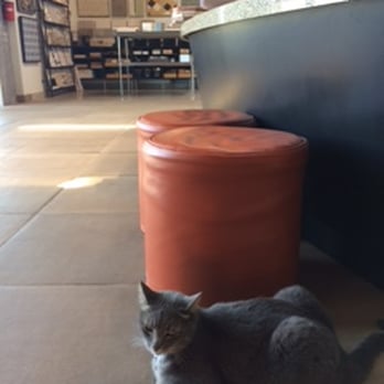 Buena Tile + Stone - Building Supplies Near Me - Ventura, California