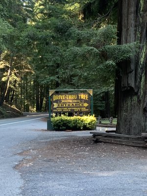 Drive-Thru Tree Park Leggett by null