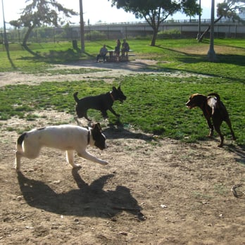 Carlson Dog Park - Dog Parks Near Me - Riverside, California