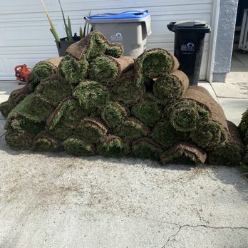 lima landscaping - New rolls of sod - Landscape Architects or Designers Near Me - San Jose, California lima landscaping - New rolls of sod - Landscape Architects or Designers Near Me - San Jose, California