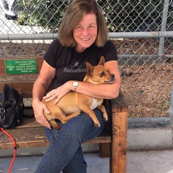 Who’s Training Who - Tucker taking a well deserved break after perfecting his basic obedience - Pet Training Near Me Who’s Training Who - Tucker taking a well deserved break after perfecting his basic obedience - Pet Training Near Me