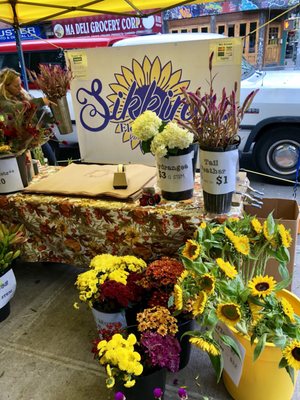 Tompkins Square Park Greenmarket by null