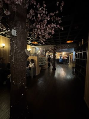 SUSHI JUNAI 1 by null