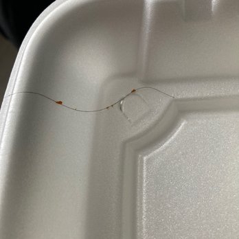 Taqueria Isabel - They need to start wearing hair nets - Food Trucks Near Me - Richmond, Virginia Taqueria Isabel - They need to start wearing hair nets - Food Trucks Near Me - Richmond, Virginia