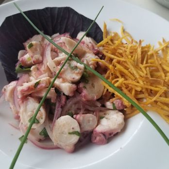 Casablanca - octopus ceviche - Seafood Near Me - Miami, Florida Casablanca - octopus ceviche - Seafood Near Me - Miami, Florida