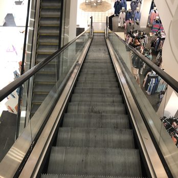 Dillard's - Dillard's Greenwood Mall Escalators - Department Stores Near Me - Bowling Green, Kentucky Dillard's - Dillard's Greenwood Mall Escalators - Department Stores Near Me - Bowling Green, Kentucky