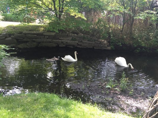 Barnstable Mortgage Group