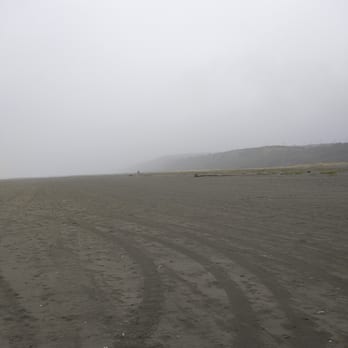 Sand Dollar Condos - The beautiful, desolate beach. - Vacation Rentals Near Me - Pacific Beach, Washington Sand Dollar Condos - The beautiful, desolate beach. - Vacation Rentals Near Me - Pacific Beach, Washington
