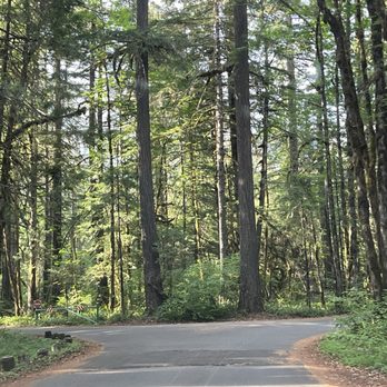 Paradise Campground - Hiking Near Me - Blue River, Oregon Paradise Campground - Hiking Near Me - Blue River, Oregon