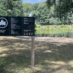 Captain Tilly Park - A beautiful day for a lunch walk