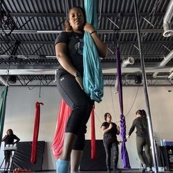 Aerial Dragonfly Movement Studio