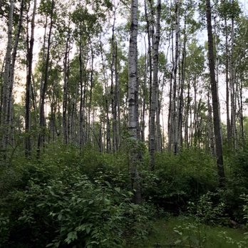 Terwillegar Park - Dog Parks Near Me - Edmonton, Alberta