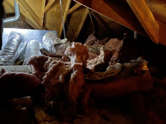 Armour Spray Foam Logo