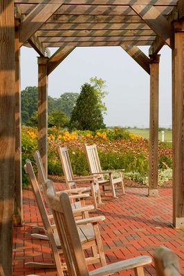 Hyatt Regency Chesapeake Bay Golf Resort, Spa and Marina by null