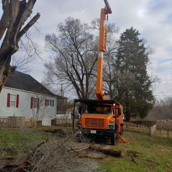 Ole' Smokey's Tree Service - My bucket truck - Tree Services Near Me Ole' Smokey's Tree Service - My bucket truck - Tree Services Near Me