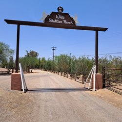 White Stallion Ranch - My home away from home! Horses are a bonus!