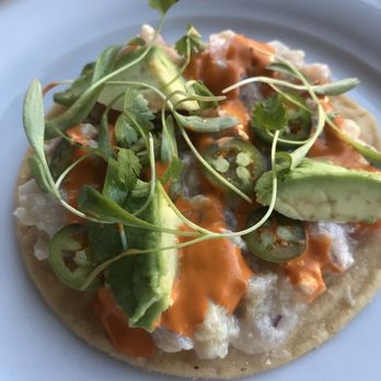 Señor Bear - Ceviche tostada - Latin American Near Me - Denver, Colorado Señor Bear - Ceviche tostada - Latin American Near Me - Denver, Colorado