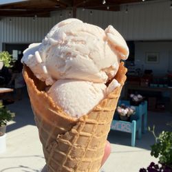 Hayton Farms Berries - Skagit strawberry
