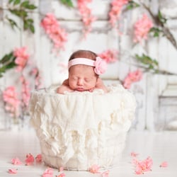 Maya D Photography - newborn portrait
