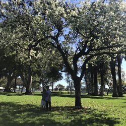 Neff Historical House - Spring is coming!