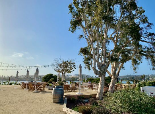 The Mission Bay Beach Club by null