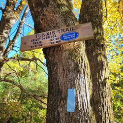 Nepaug State Forest - Tunxis trail